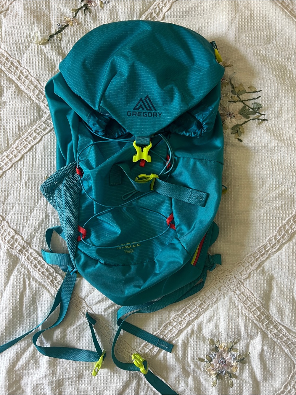 Gregory Nano 22 H2O Hydration Backpack